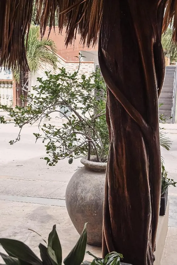 Boutique Hotel Posada 06 Tulum (Adults Only) Mexico
